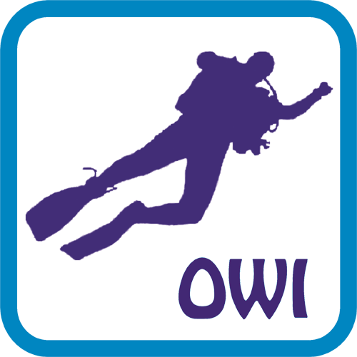 instruktor OWI